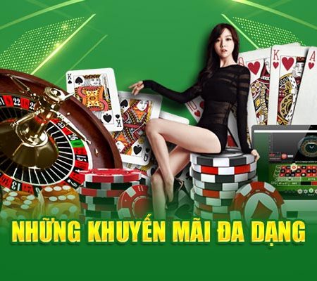 T8Bet Top 8 Betting Platform Excellence Gaming