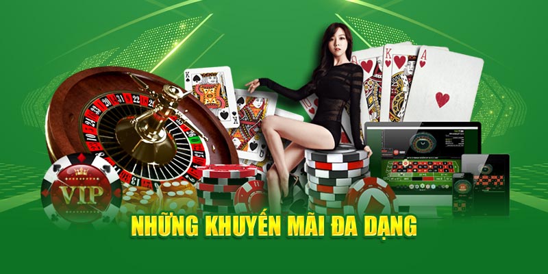 T8Bet Top 8 Betting Platform Excellence Gaming T8Bet Top 8 Betting Platform Excellence Gaming