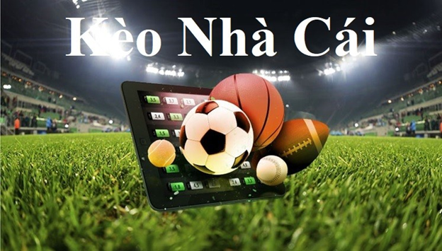 Nohu Uy Tín - Trusted Slot Game Platform Nohu Uy Tín - Trusted Slot Game Platform